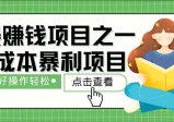 暴利项目，每天被动收益1500+，长期管道收益！0成本自己做老板！